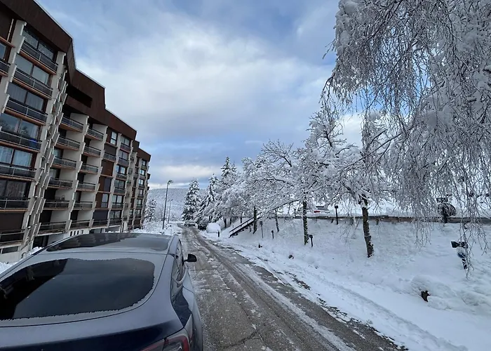 Appartement Pied Des Pistes A Villard De Lans Cote 2000 Avec Ascenseur Tout Equipee